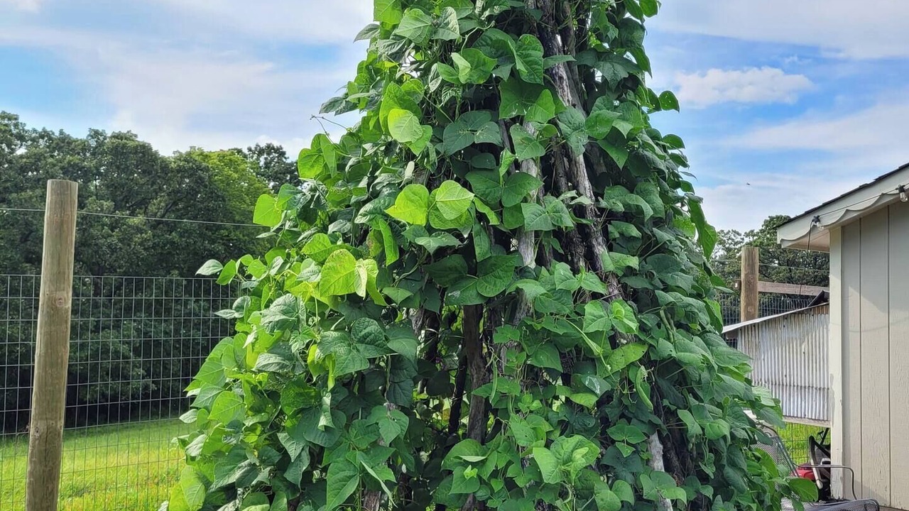 Photo of Outdoor in Rochester
