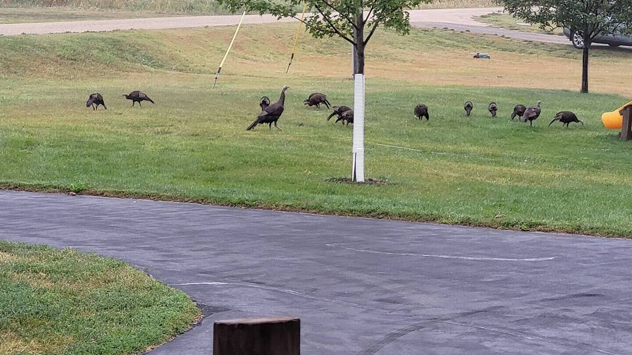 Photo of Others in Rochester