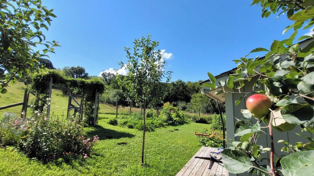 Photo of Outdoor in Rochester