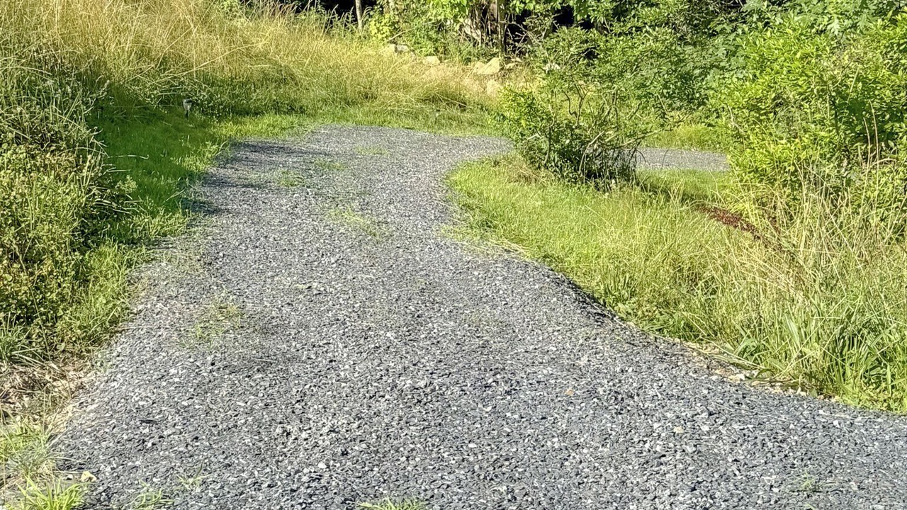 Photo of Others in Alstead
