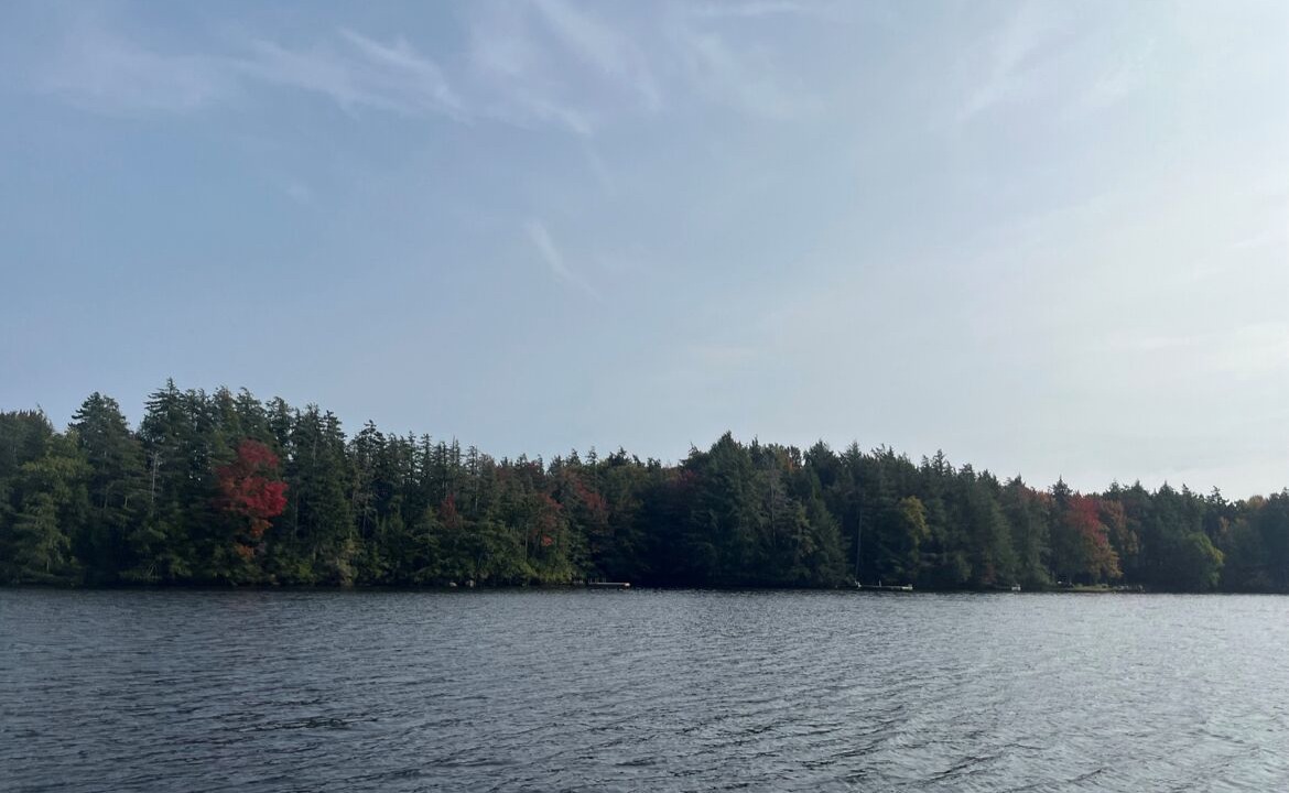 Photo of Outdoor in Town of Clifton