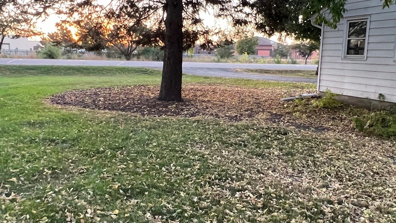Photo of Outdoor in Chaska