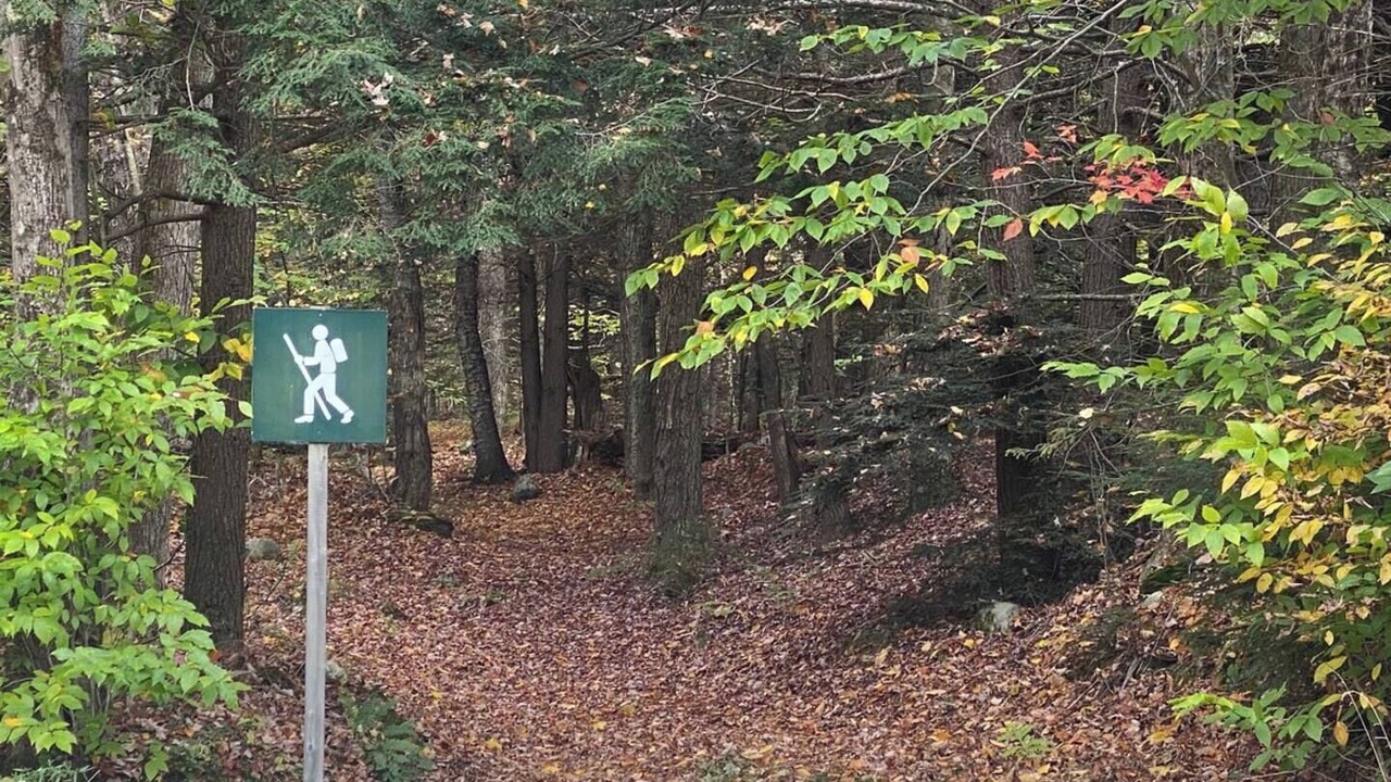 Photo of Outdoor in Becket