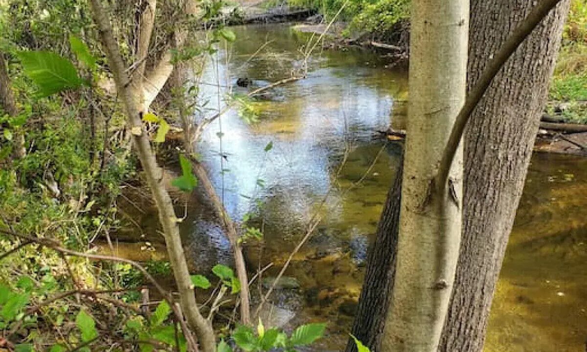 Photo of Others in Brandon