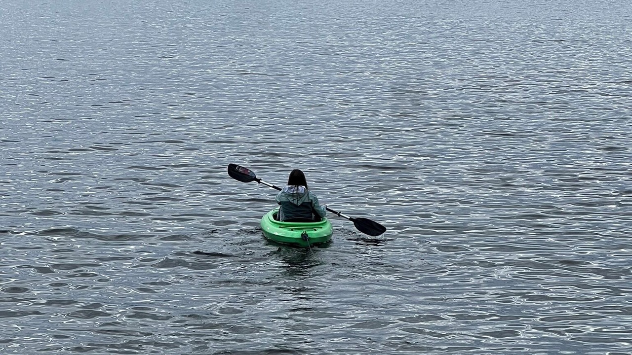 Photo of Others in Herron