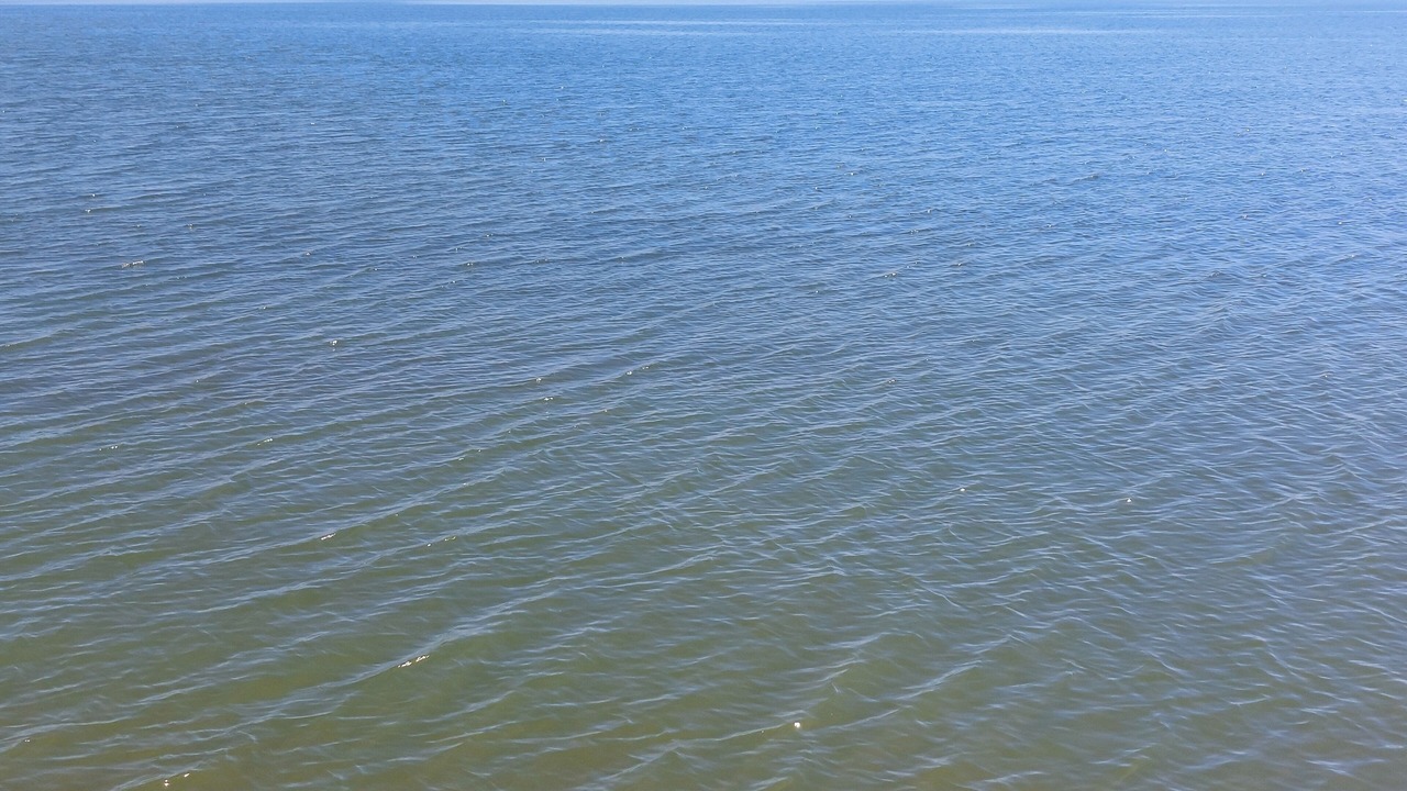 Photo of Others in Shell Lake