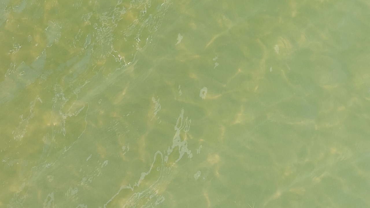 Photo of Others in Shell Lake