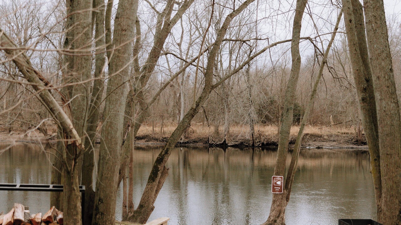 Photo of Others in Ionia