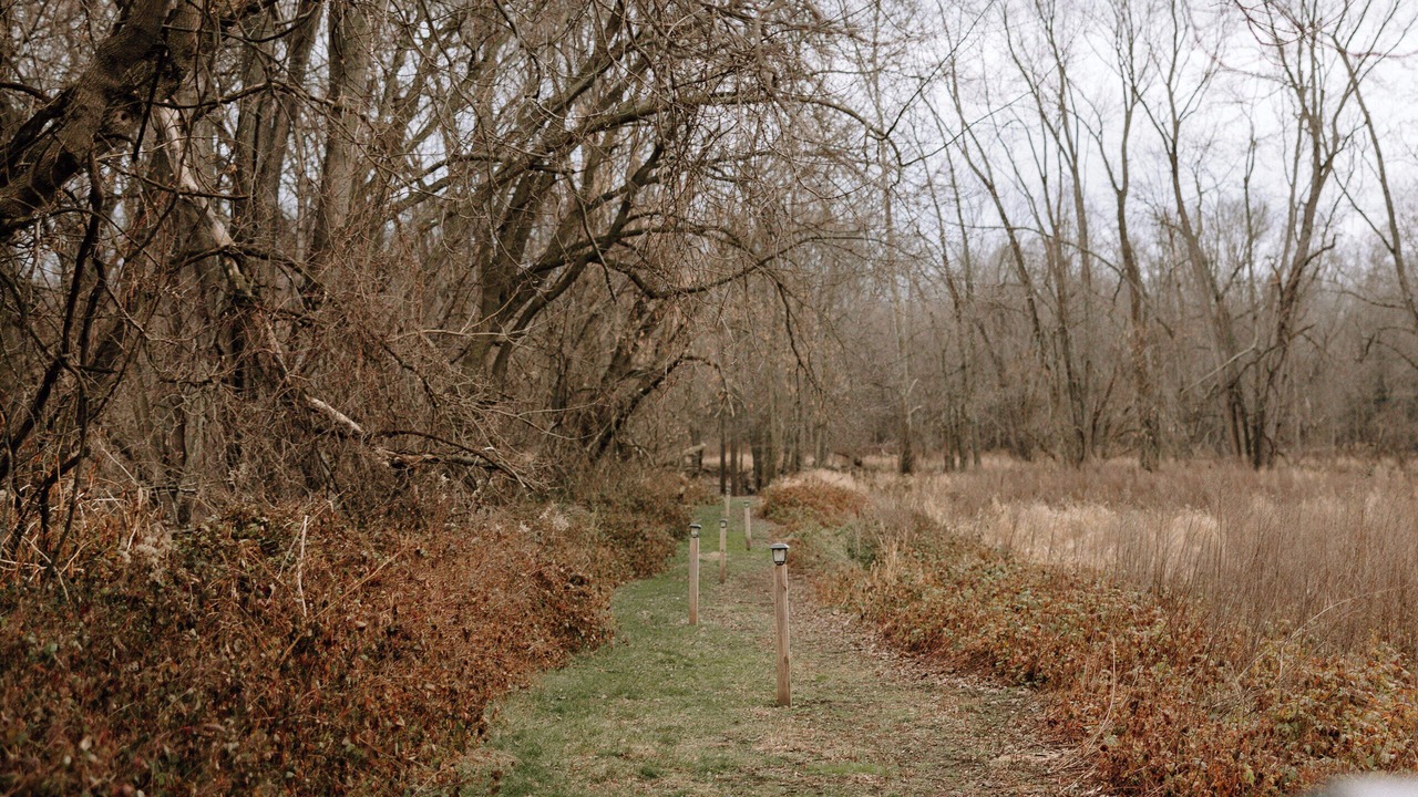Photo of Others in Ionia