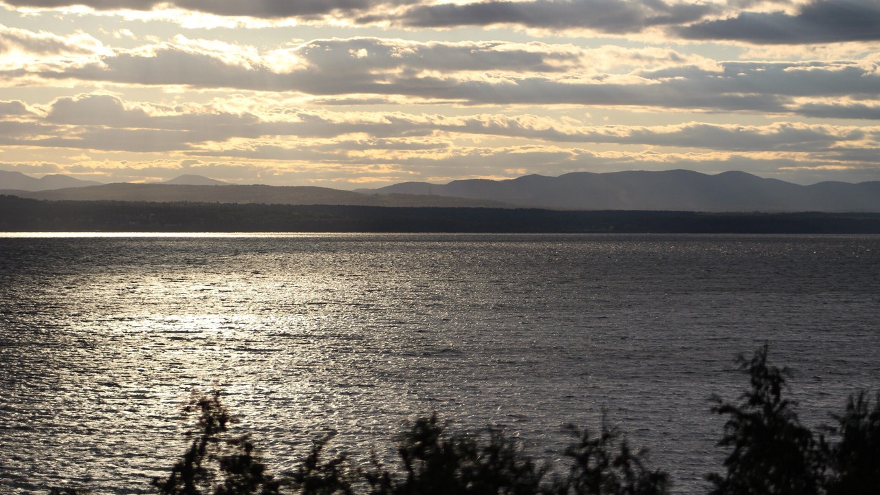 Photo of Others in Malletts Bay