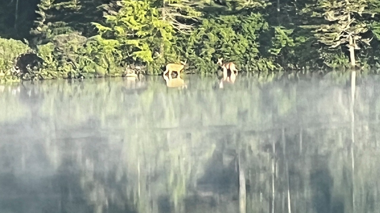 Photo of Others in Warren