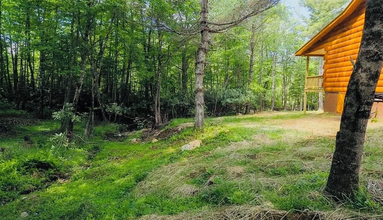 Photo of Outdoor in Piper Gap