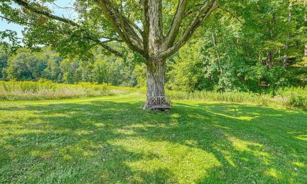 Photo of Others in Canaan