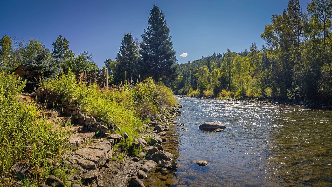 Photo of Others in San Juan River Village