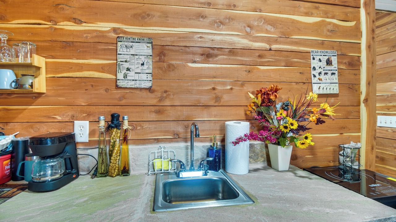 Photo of Kitchen in Ozark