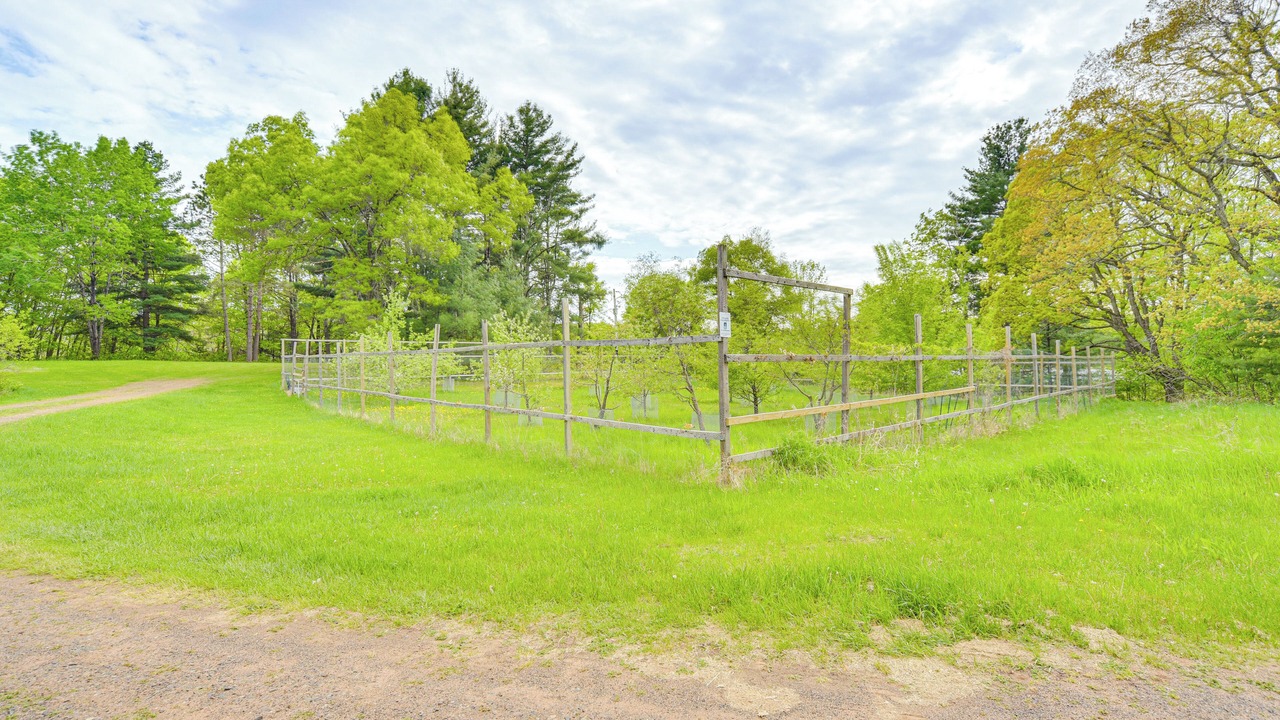 Photo of Outdoor in Webster