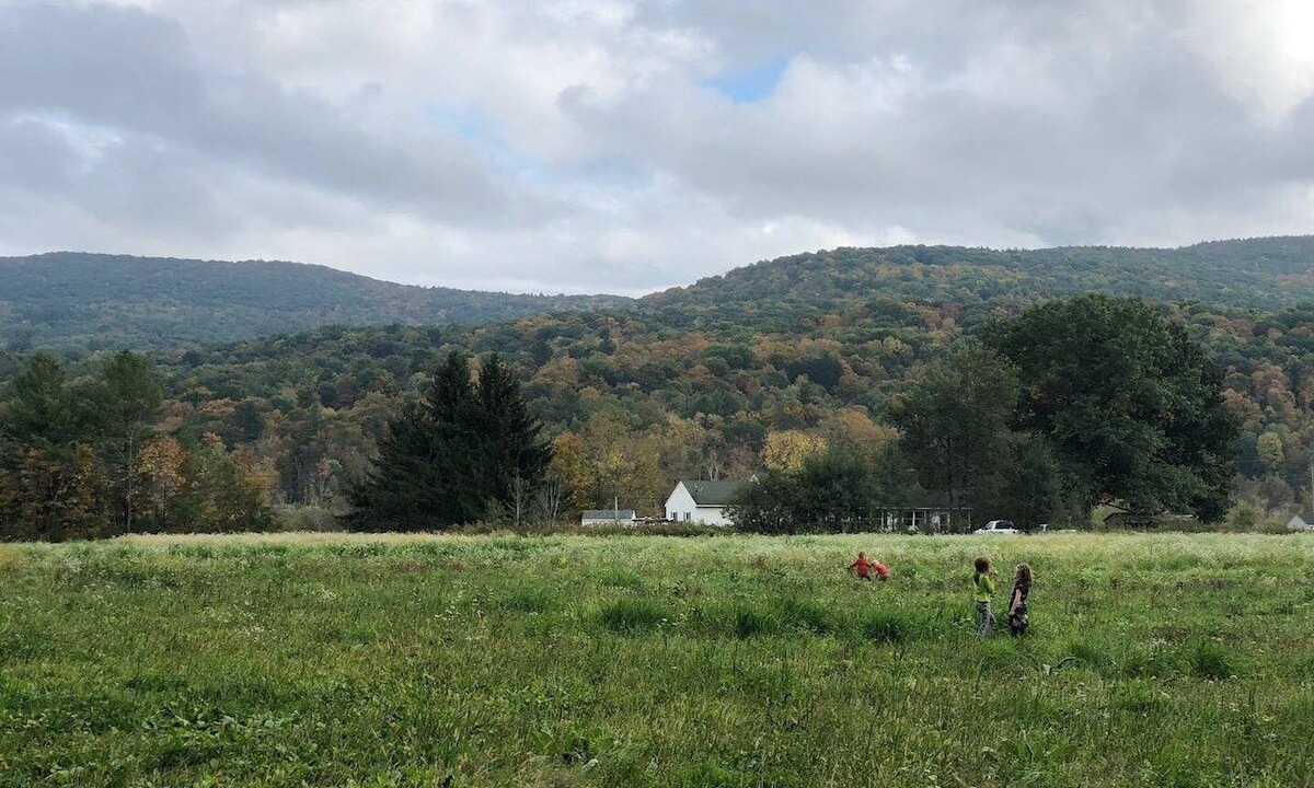 Photo of Others in Canaan