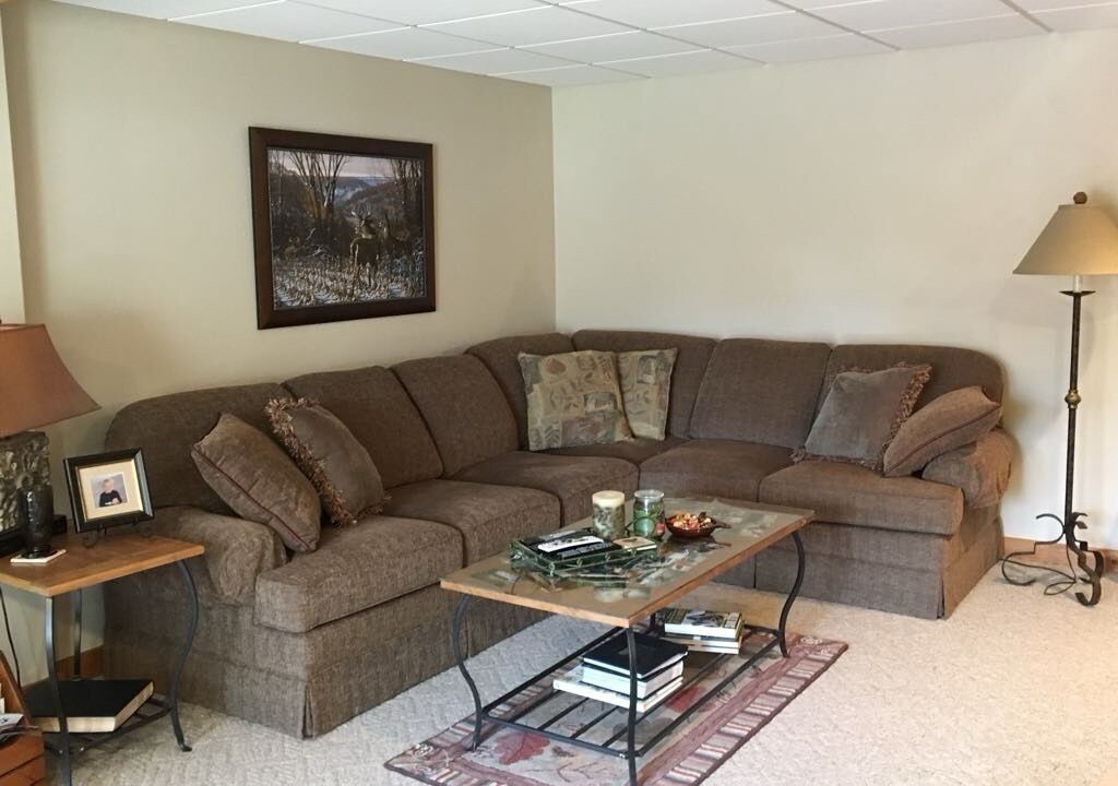 Photo of Livingroom in Pine River