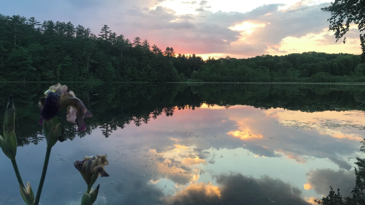 Photo of Others in Poultney