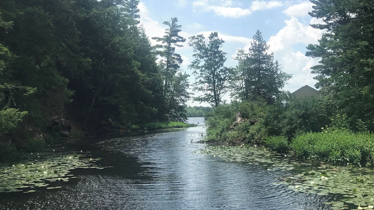 Photo of Others in Poultney