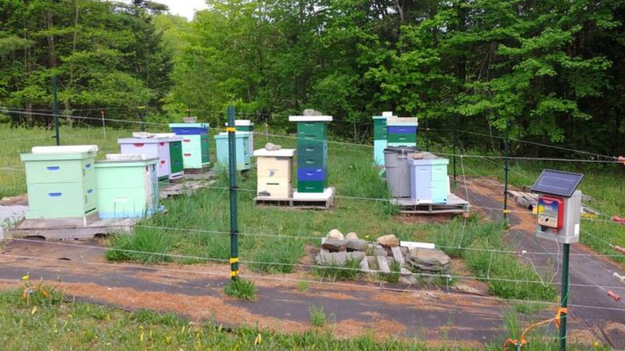 Photo of Others in Montpelier