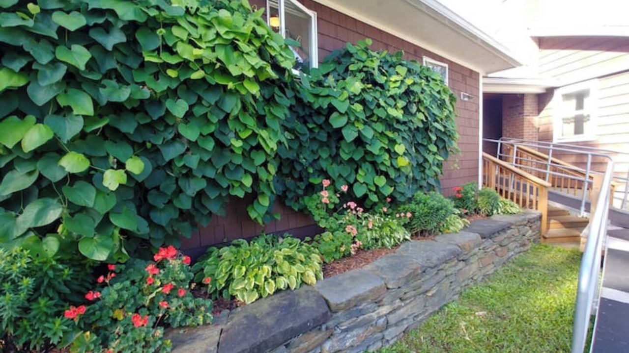 Photo of Outdoor in Montpelier
