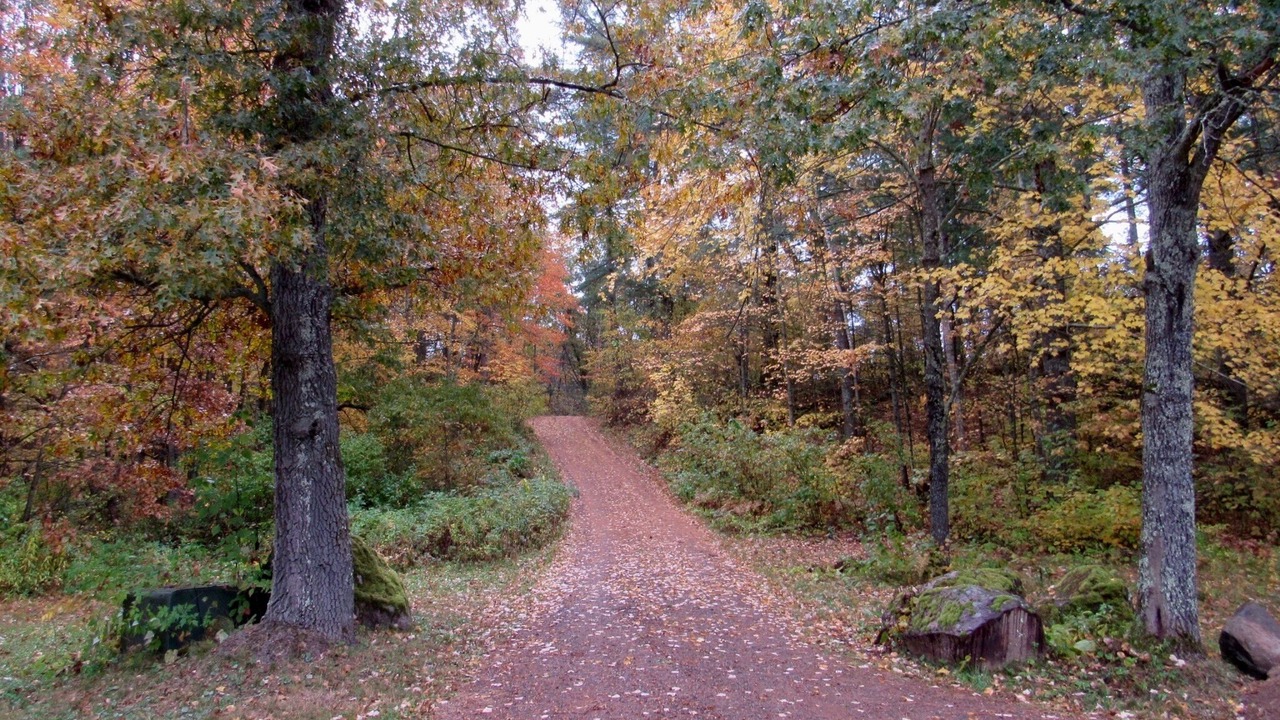 Photo of Others in Ladysmith