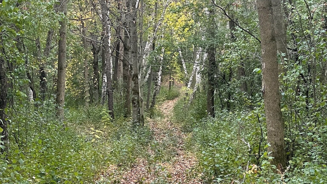 Photo of Others in Glenwood City