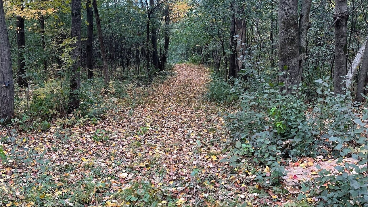 Photo of Others in Glenwood City