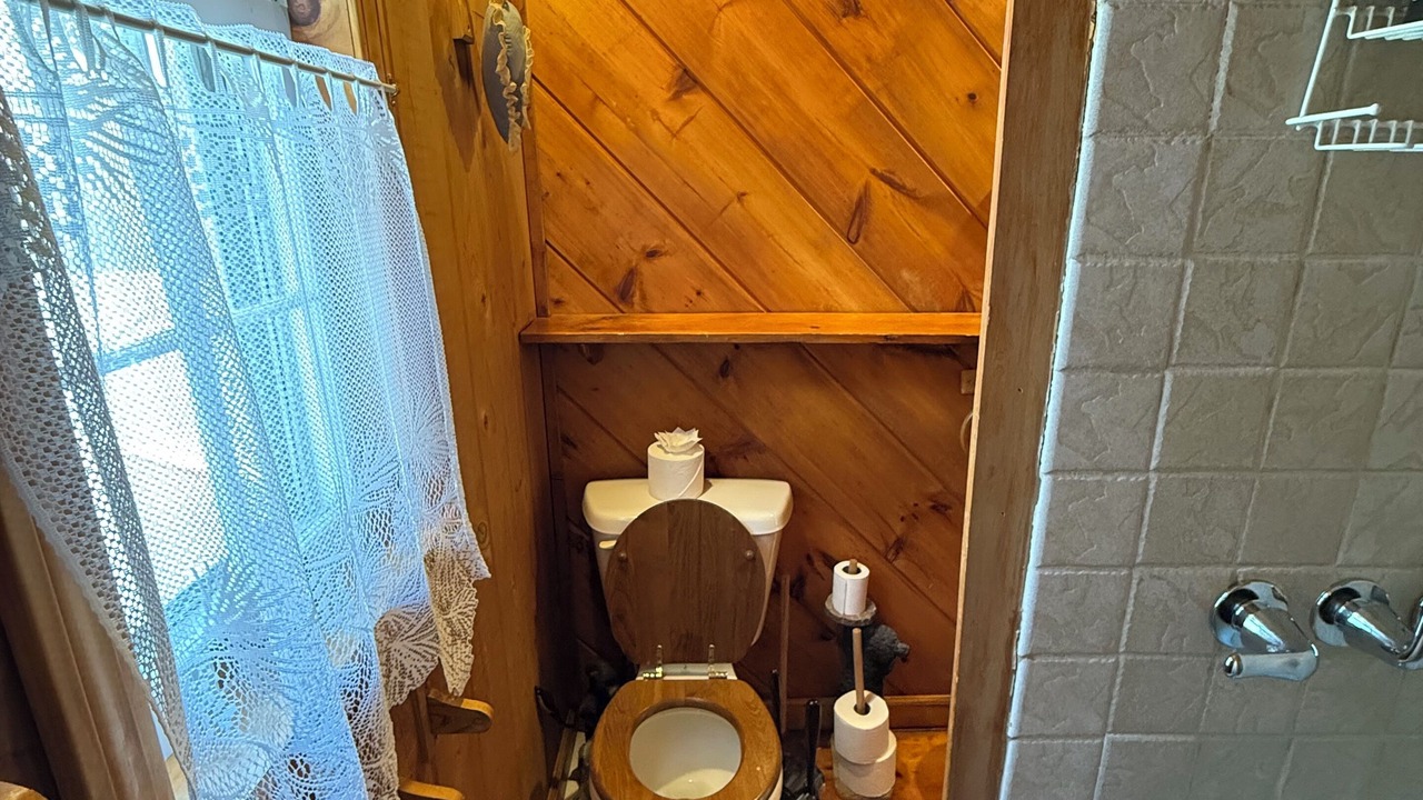 Photo of Bathroom in East Jamaica