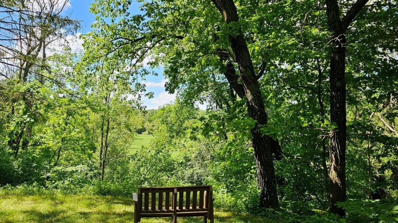 Photo of Others in Hudson