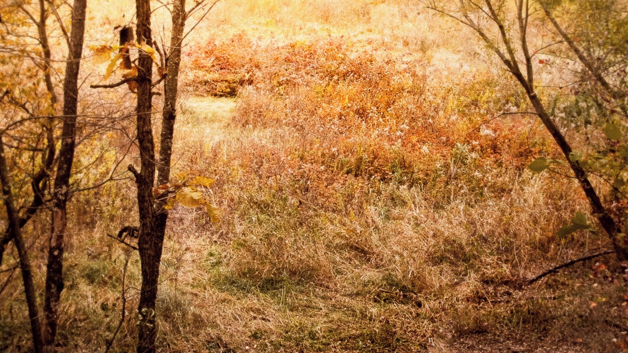 Photo of Others in Hudson