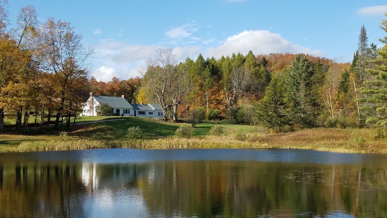 Photo of Others in Strafford