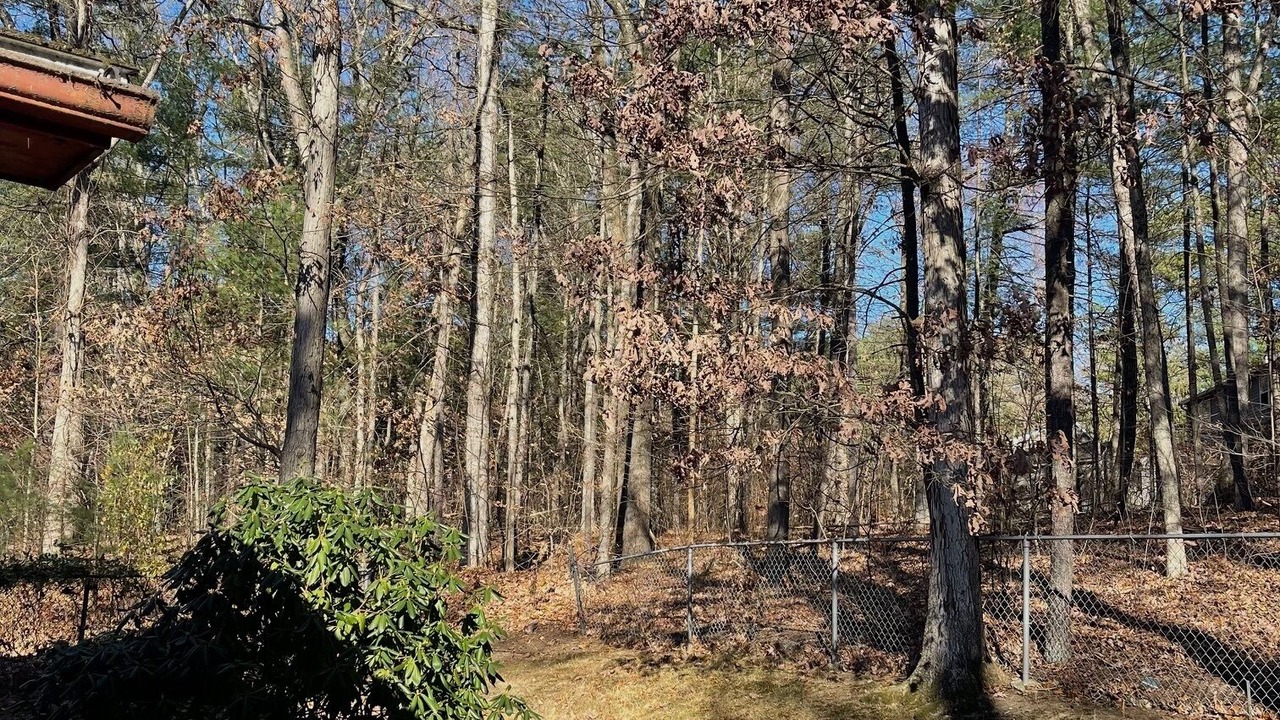 Photo of Outdoor in Amherst