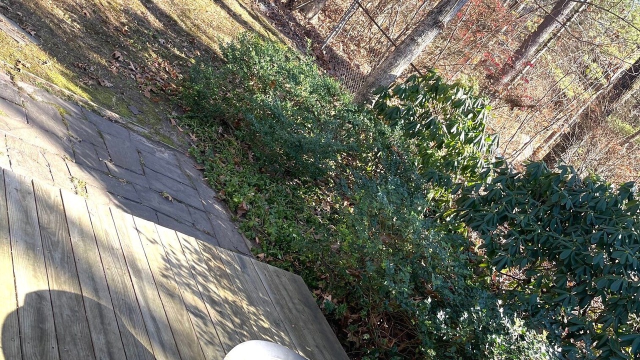 Photo of Outdoor in Amherst