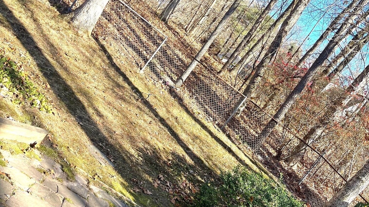 Photo of Outdoor in Amherst
