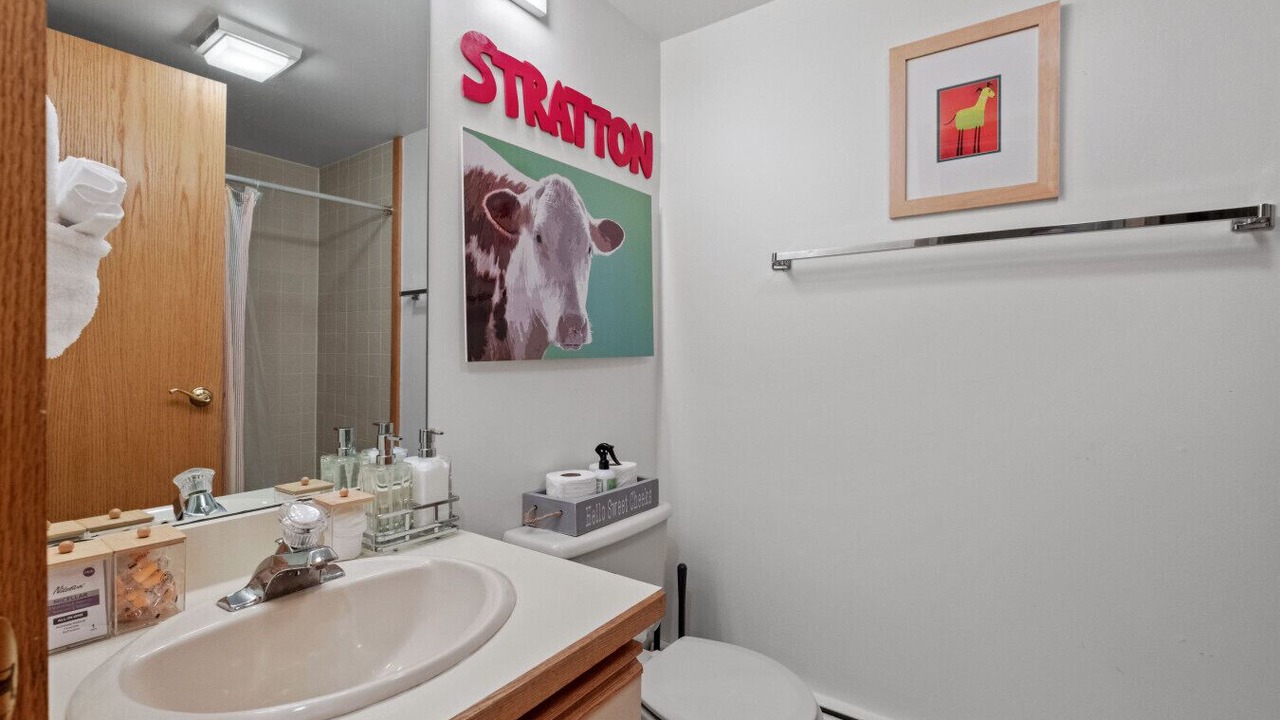 Photo of Bathroom in Winhall