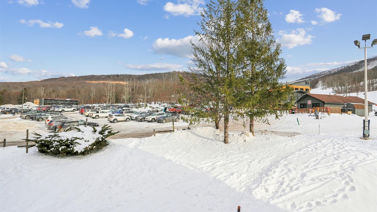 Photo of Others in Timberline
