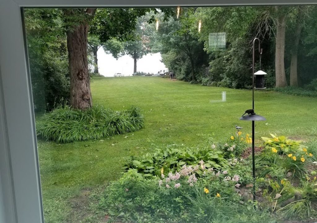 Photo of Outdoor in Chazy