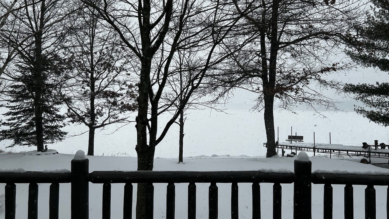 Photo of Outdoor in Markville