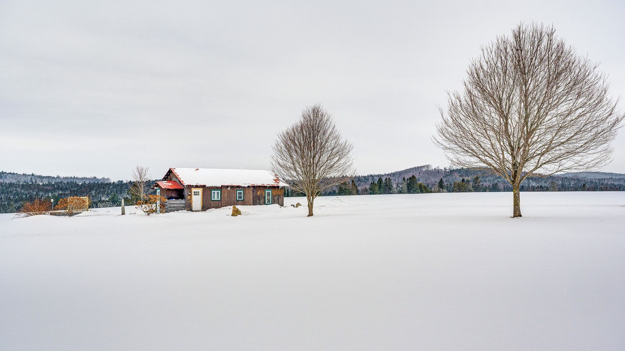 Photo of Outdoor in Hardwick