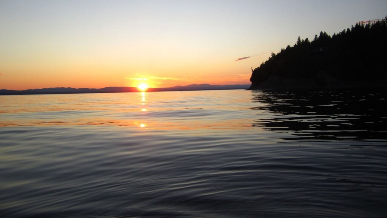Photo of Others in Malletts Bay