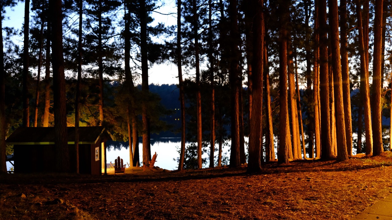 Photo of Outdoor in Remer