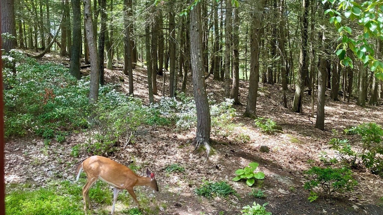 Photo of Others in Wilton