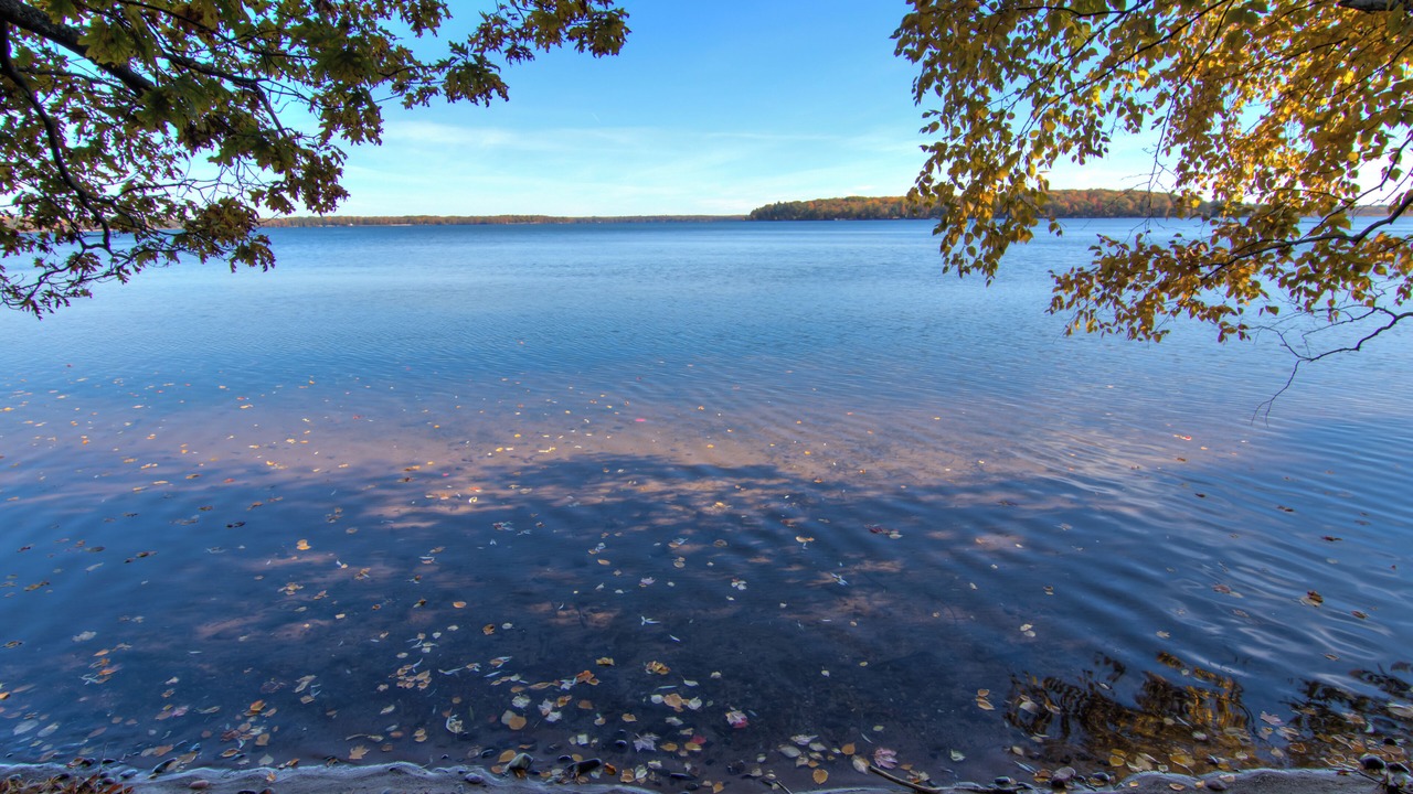 Photo of Others in Stone Lake