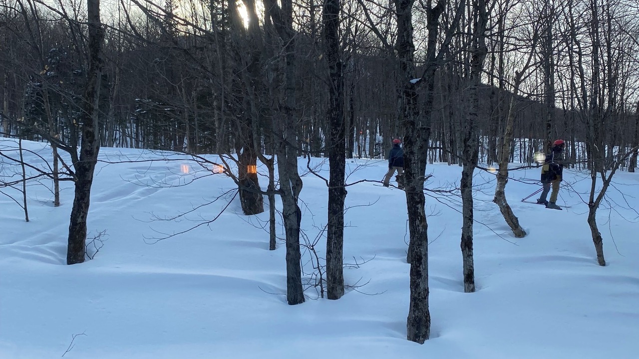 Photo of Others in North Troy