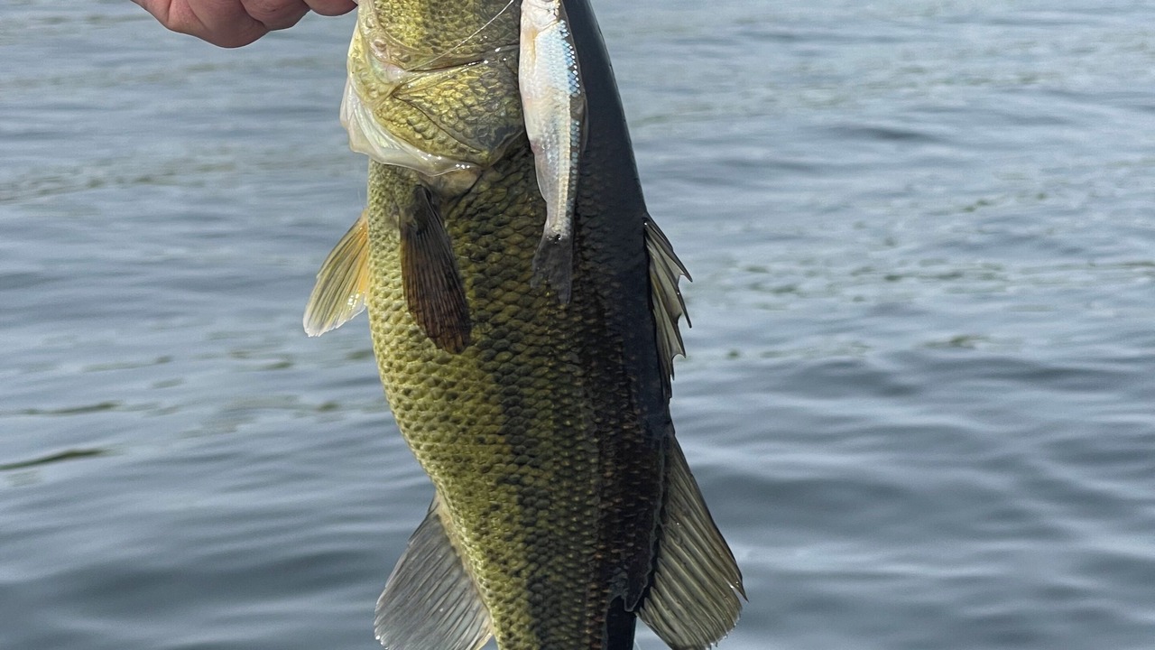 Photo of Others in Lake Shore