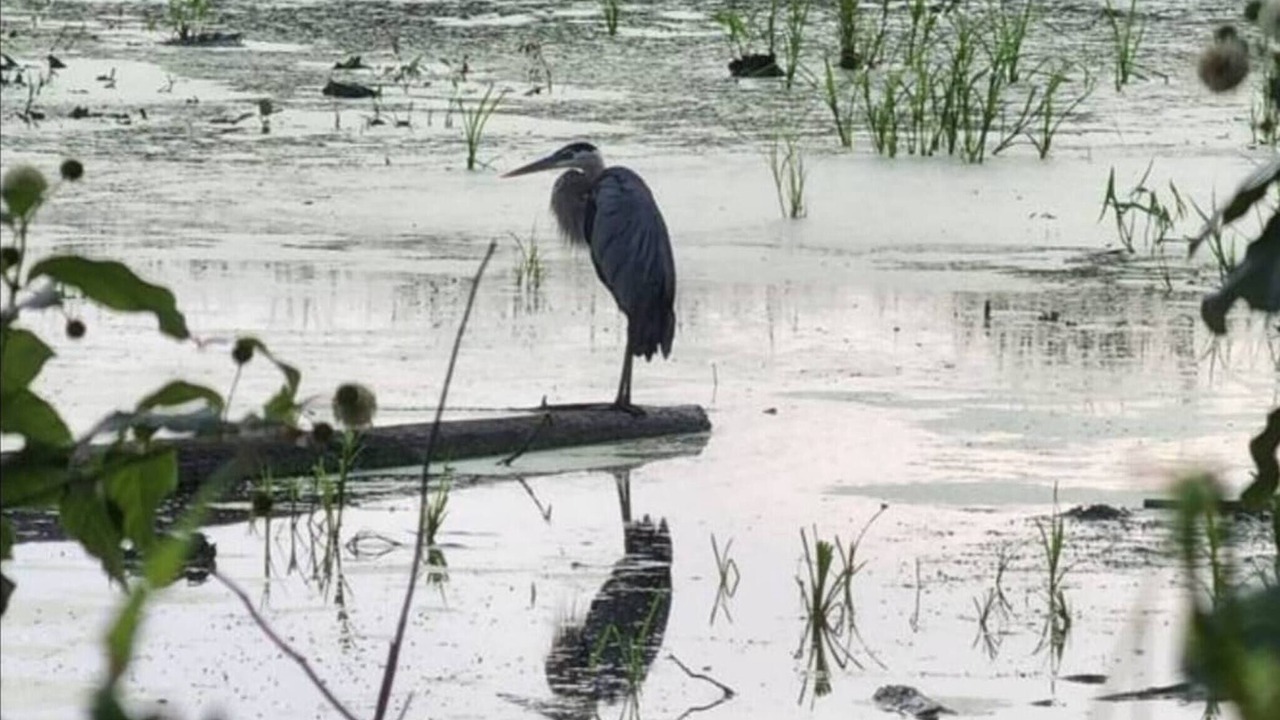 Photo of Others in La Crosse