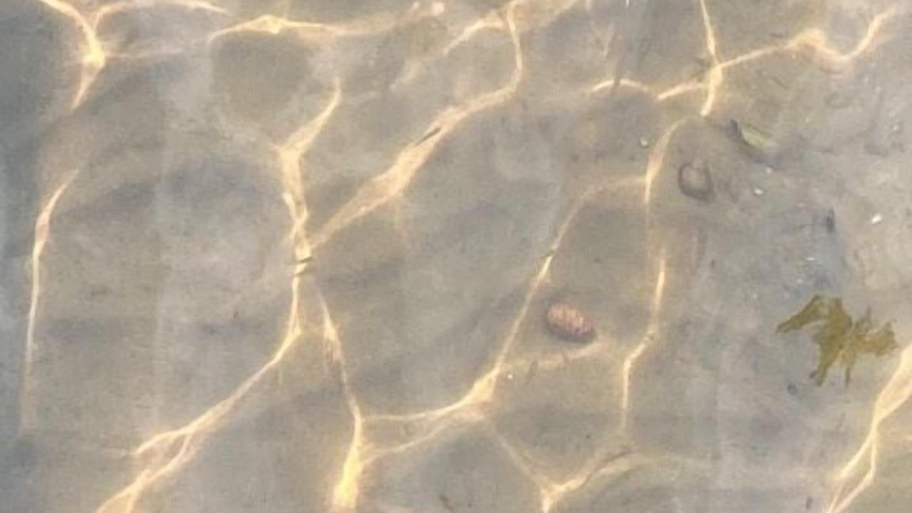 Photo of Others in Sayner