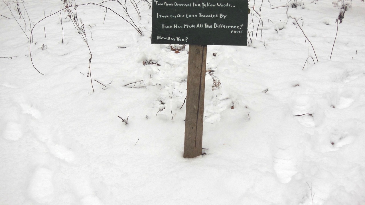 Photo of Others in Dellroy